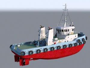 Pehuen 02